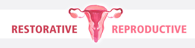 Restorative Reproductive Surgery